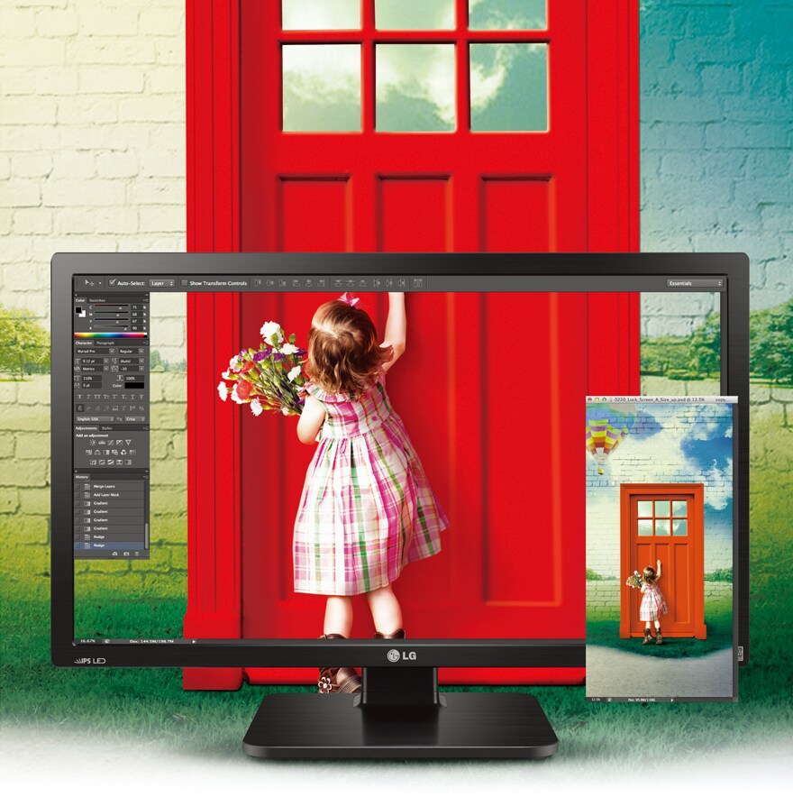 Dalle IPS Résolution WQHD 2560x1440